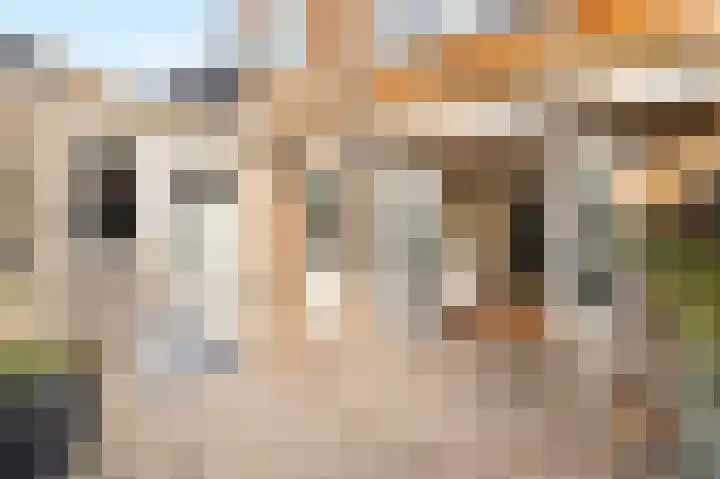 van Hasseltstraat 36 Kampen thumbnail 40