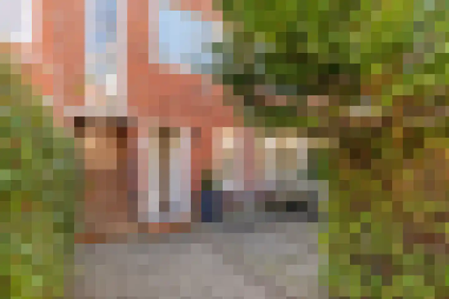 Van Heemskerckstraat 32 in Groningen