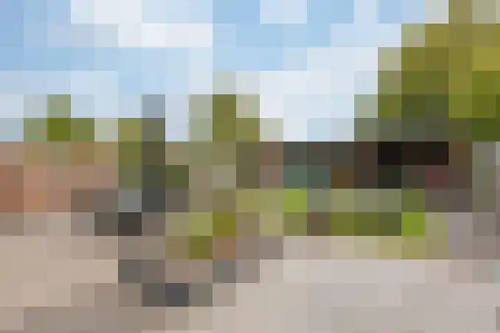 van Heemskerckstraat 60 Duiven thumbnail 35
