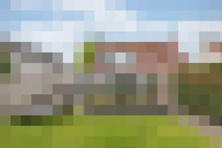 van Heemskerckstraat 60 Duiven thumbnail 43