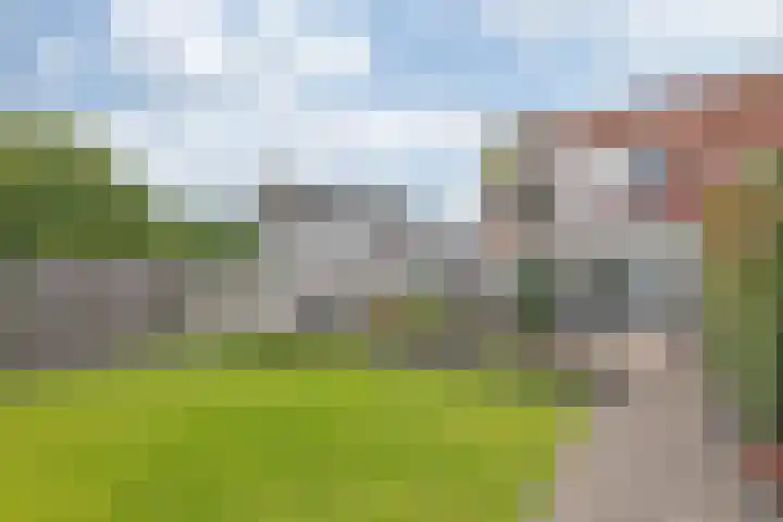van Heemskerckstraat 60 Duiven thumbnail 44