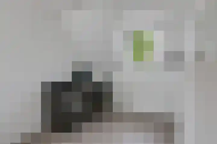 van Heemskerckstraat 60 Duiven thumbnail 51