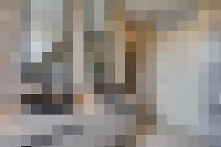 van Heemskerckstraat 60 Duiven thumbnail 56