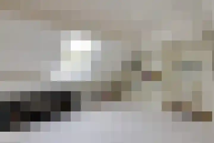 van Heemskerckstraat 60 Duiven thumbnail 63