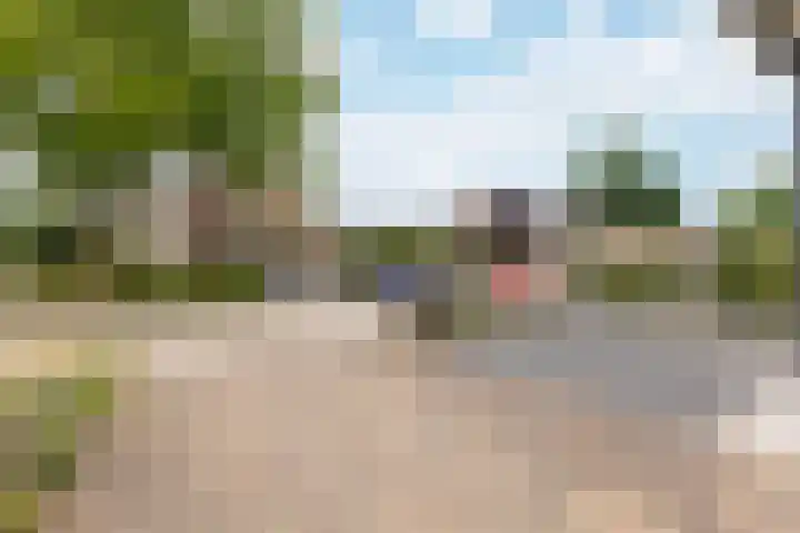 van Heemskerckstraat 60 Duiven thumbnail 64