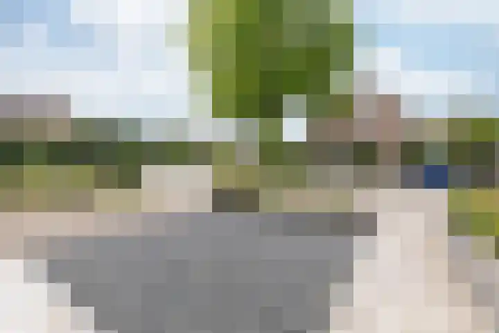 van Heemskerckstraat 60 Duiven thumbnail 65