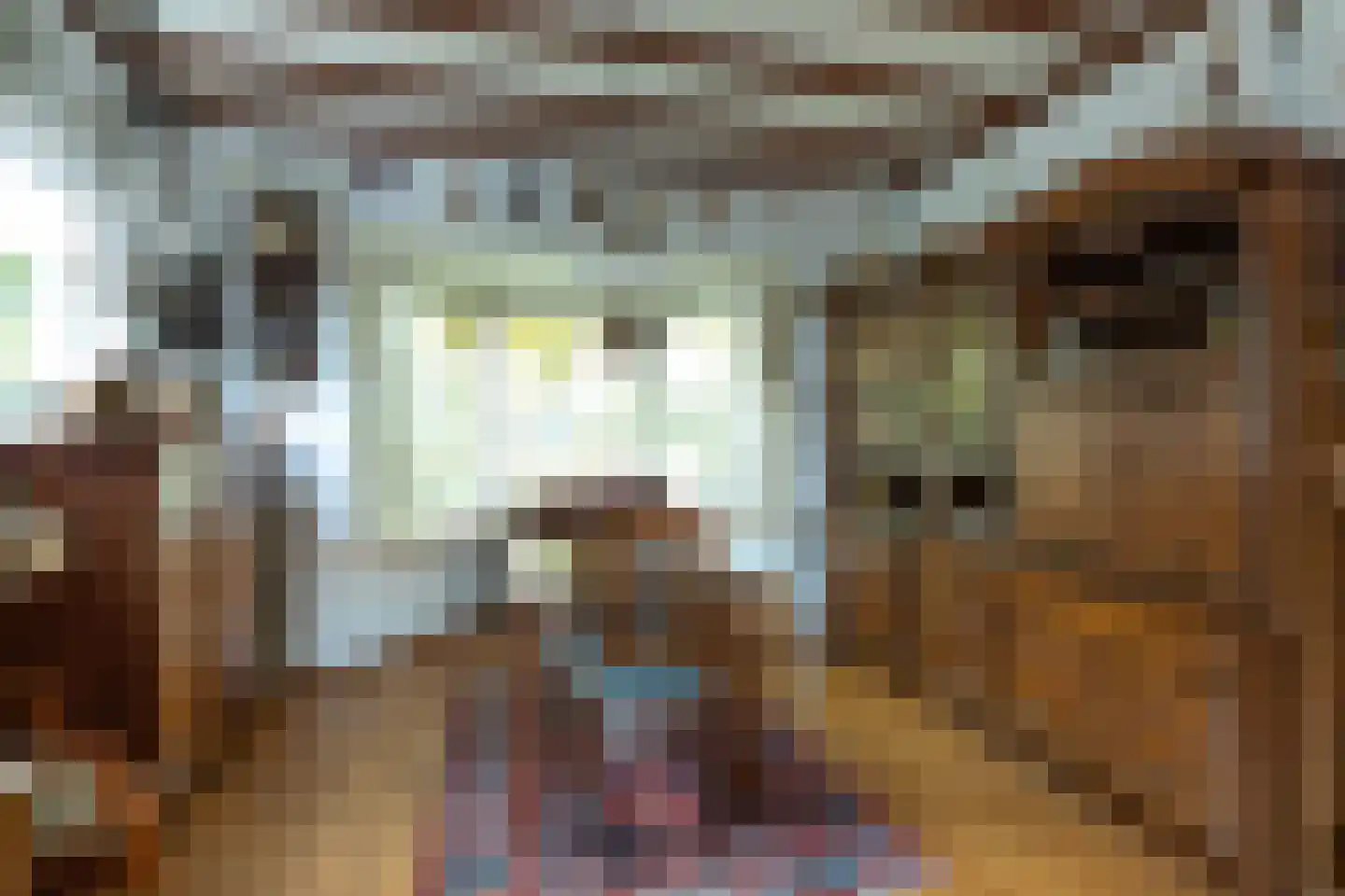 van Heemstralaan 10 Baarn thumbnail 8