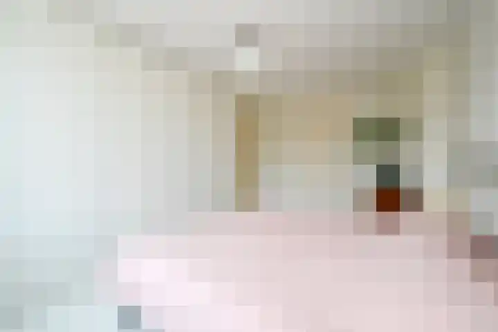 Van Heemstrastraat 9 Delft thumbnail 25