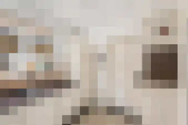 Van Helomalaan 16 Wolvega thumbnail 13