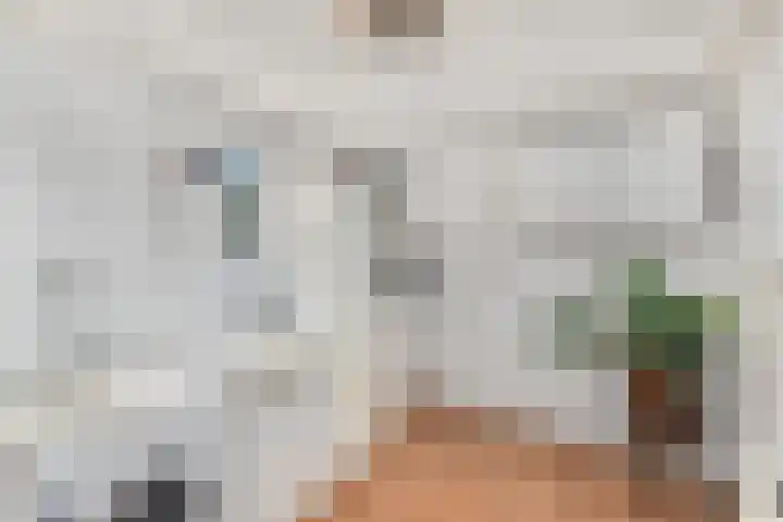 Van Helomalaan 16 Wolvega thumbnail 15