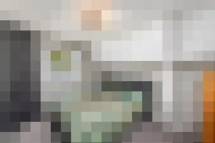 Van Helomalaan 16 Wolvega thumbnail 20