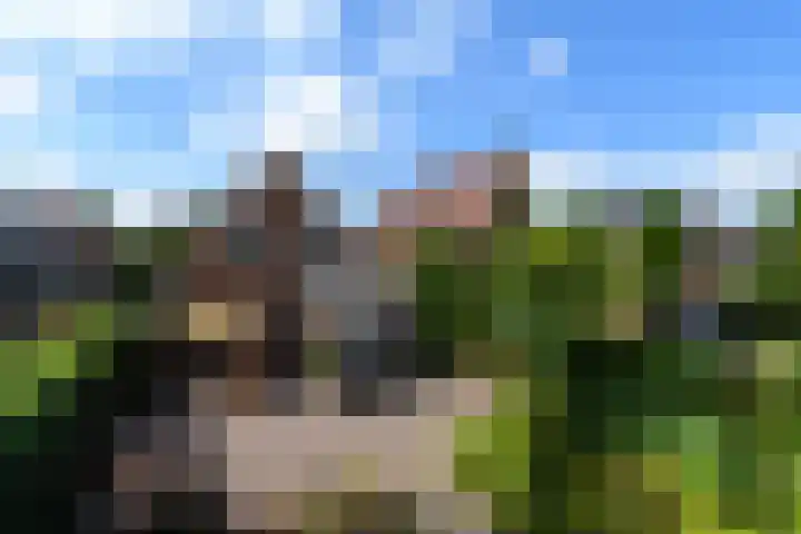 Van Helomalaan 16 Wolvega thumbnail 31
