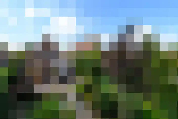 Van Helomalaan 16 Wolvega thumbnail 32