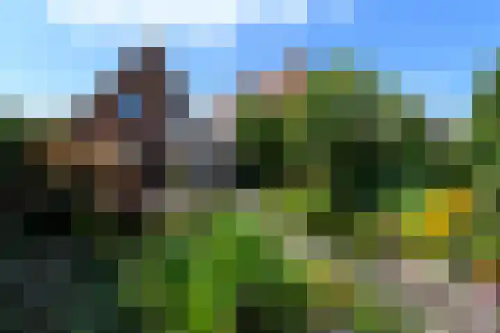 Van Helomalaan 16 Wolvega thumbnail 38