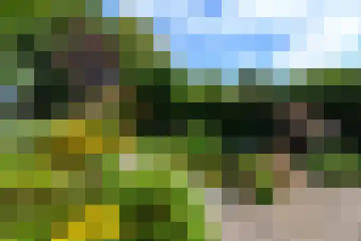 Van Helomalaan 16 Wolvega thumbnail 40