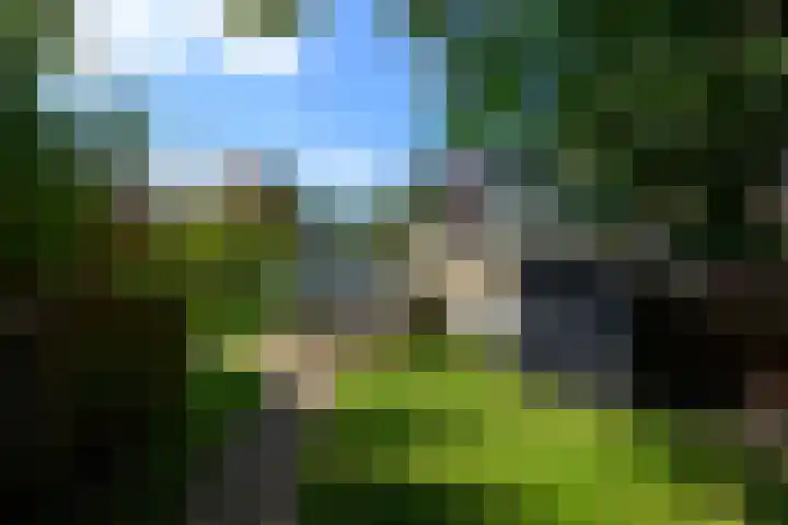 Van Helomalaan 16 Wolvega thumbnail 43