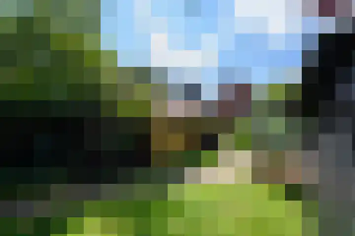 Van Helomalaan 16 Wolvega thumbnail 44