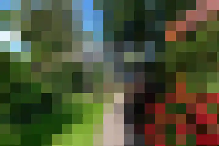 Van Helomalaan 16 Wolvega thumbnail 45