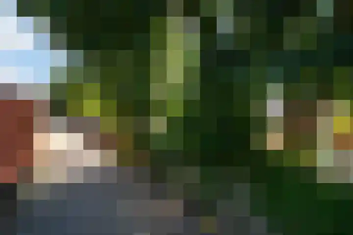 Van Helomalaan 16 Wolvega thumbnail 52
