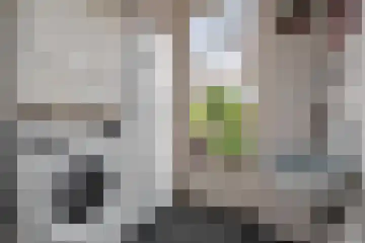 Van Heurnlaan 12 Vught thumbnail 29