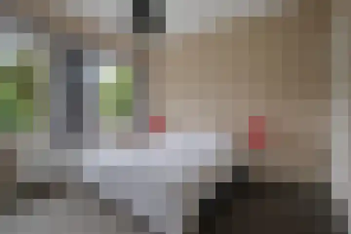 Van Heurnlaan 12 Vught thumbnail 44