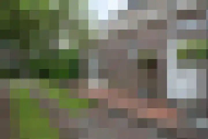 Van Heurnlaan 12 Vught thumbnail 5