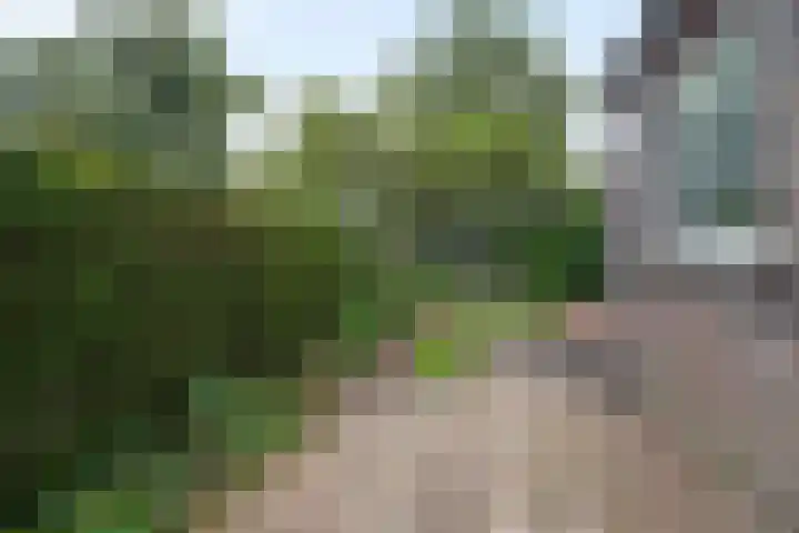 Van Heurnlaan 12 Vught thumbnail 55