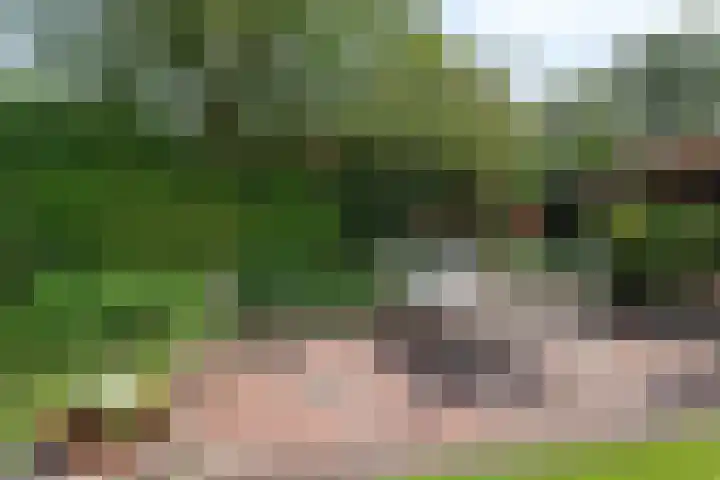 Van Heurnlaan 12 Vught thumbnail 60