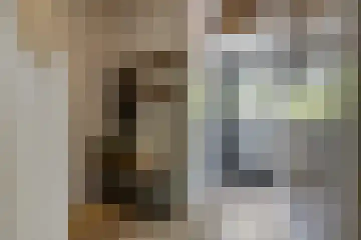 van Heutszlaan 146 1 Ede thumbnail 12