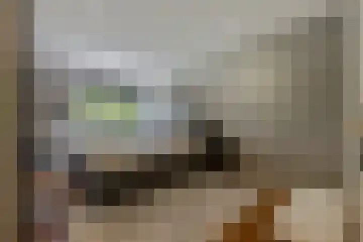 van Heutszlaan 146 1 Ede thumbnail 15