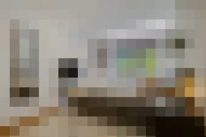 van Heutszlaan 146 1 Ede thumbnail 16