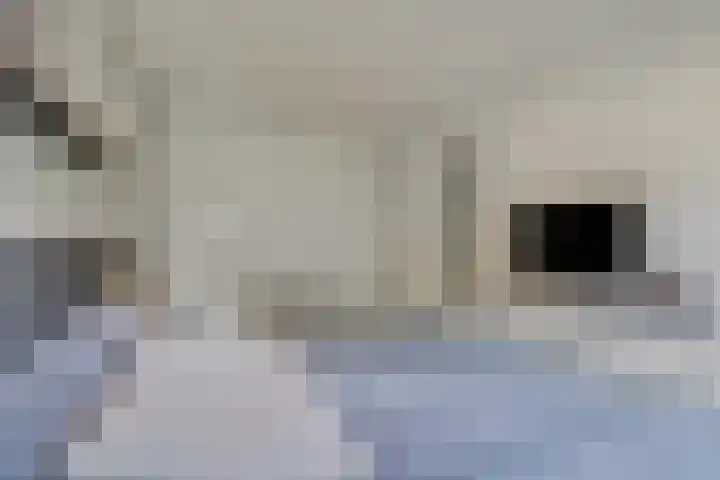 van Heutszlaan 146 1 Ede thumbnail 17