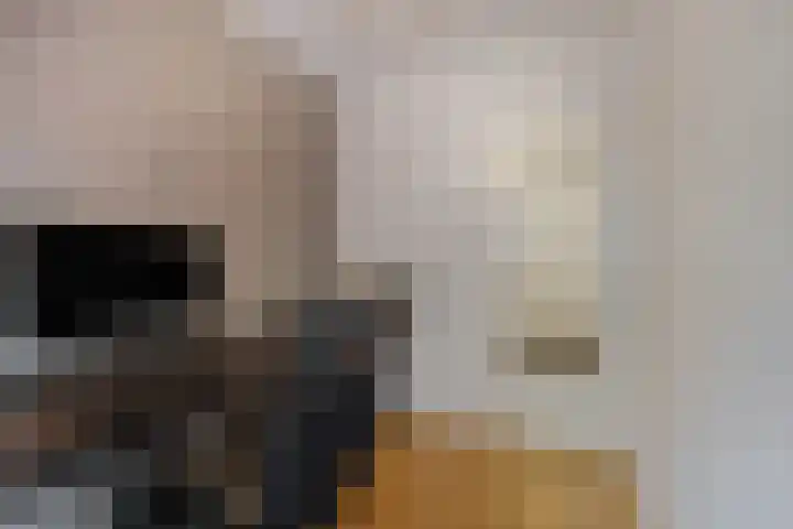 van Heutszlaan 146 1 Ede thumbnail 21