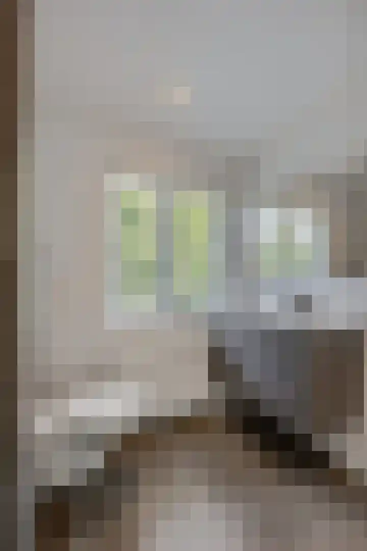 van Heutszlaan 146 1 Ede thumbnail 22