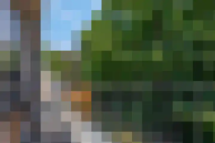 van Heutszlaan 146 1 Ede thumbnail 25