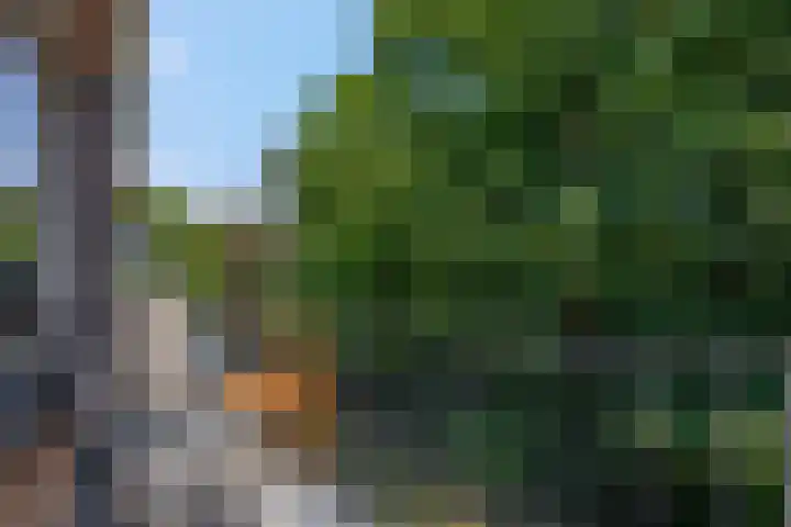 van Heutszlaan 146 1 Ede thumbnail 26