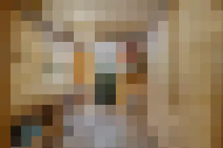van Heutszlaan 146 1 Ede thumbnail 30