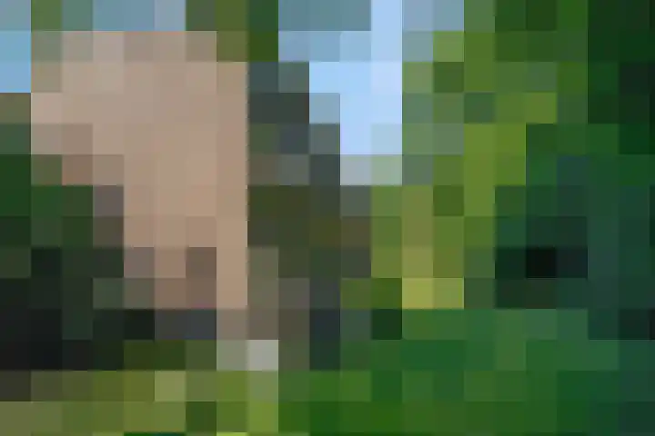 van Heutszlaan 146 1 Ede thumbnail 36
