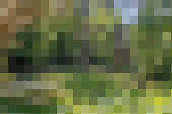 van Heutszlaan 146 1 Ede thumbnail 41