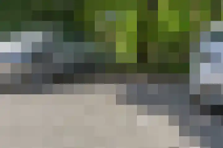 van Heutszlaan 146 1 Ede thumbnail 43