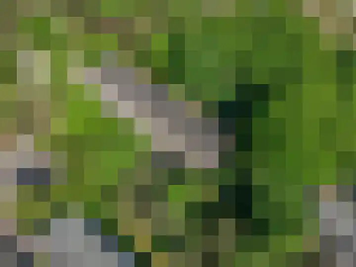 van Heutszlaan 146 1 Ede thumbnail 45