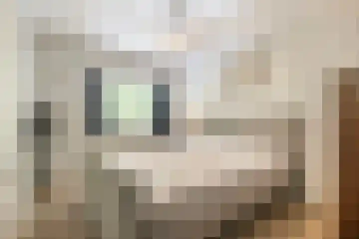 van Heutszlaan 146 Ede thumbnail 18