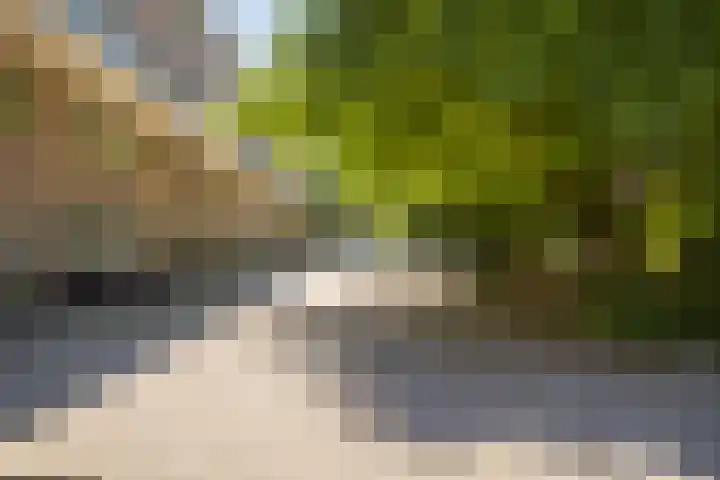 van Heutszlaan 146 Ede thumbnail 30