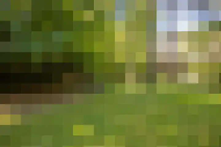van Heutszlaan 146 Ede thumbnail 32