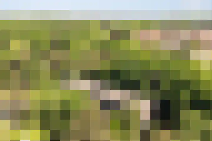 van Heutszlaan 146 Ede thumbnail 33