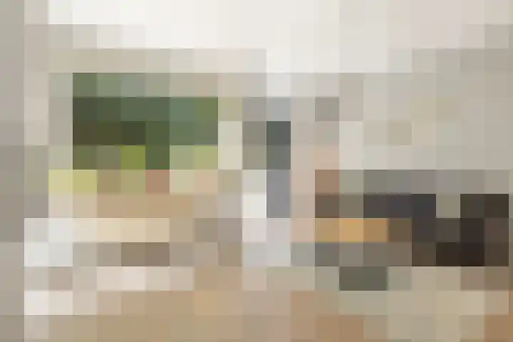 van Heutszlaan 146 Ede thumbnail 5