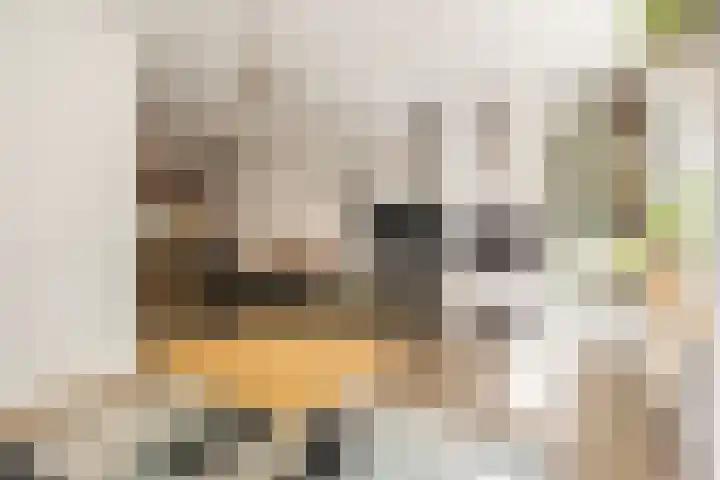 van Heutszlaan 146 Ede thumbnail 7
