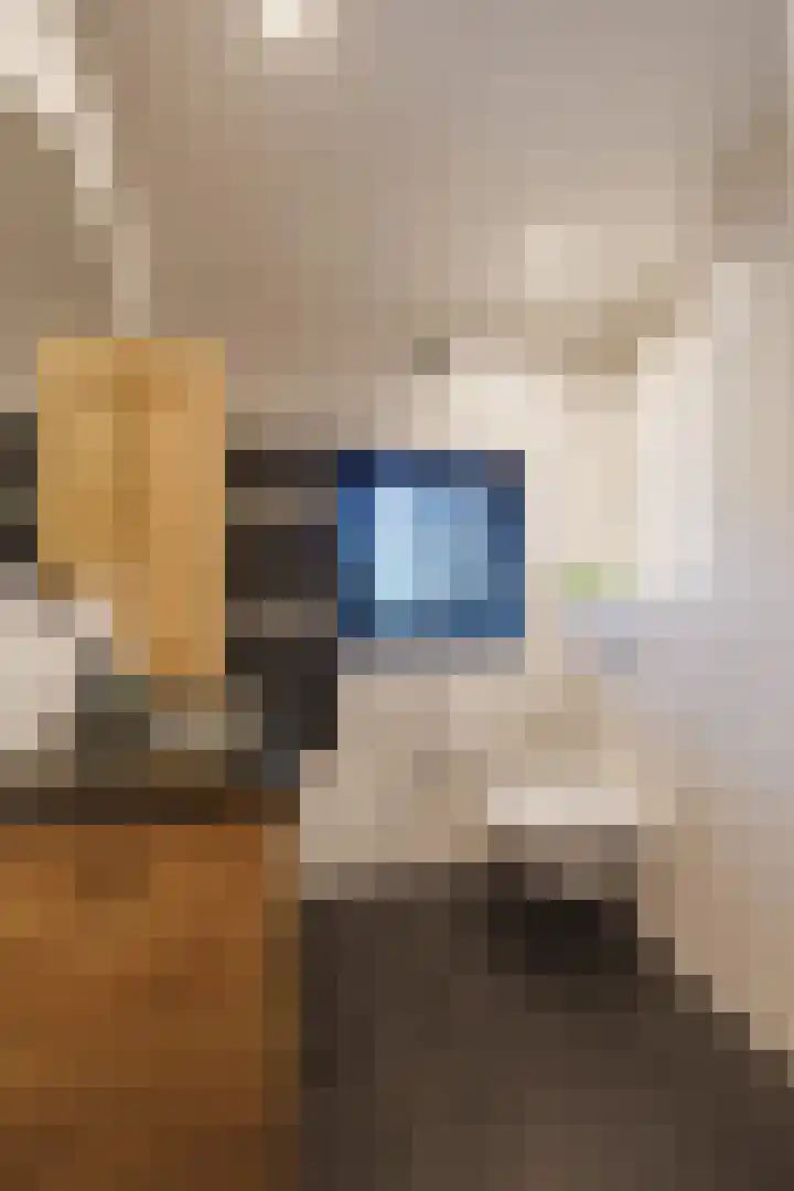 van Heutszlaan 26 Ede thumbnail 21