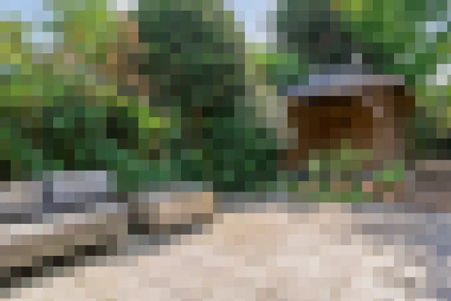 van Heutszpark 3 Coevorden thumbnail 37