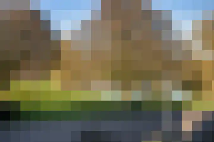van Heutszpark 49 Vlaardingen thumbnail 34